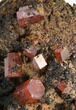 Red Vanadinite Crystals on Manganese Oxide - Morocco #38489-2